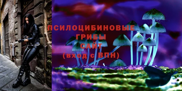 эйфоретик Баксан