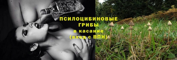 дживик Армянск