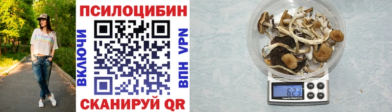 купить наркотики цена  блэк спрут ТОР  Псилоцибиновые грибы мицелий  Оса 